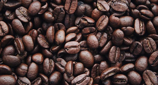 Discover How to Choose the Best Coffee Beans for Cold Brew