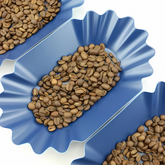 Rhino Coffee Gear Blue Oval Cupping Tray