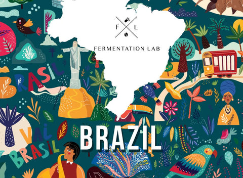 Fermentation Lab - Brazil 250g