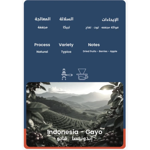 30WET Roastery Indoniesia-Gayo (250g) Coffee Beans