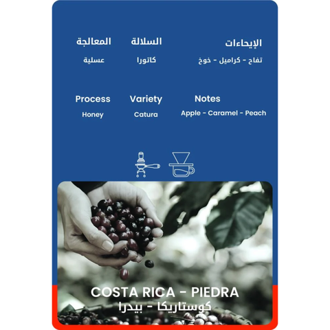 30WET Roastery Costa Rica Piedra (250g) Coffee Beans