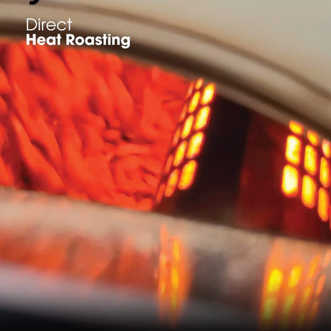 Skywalker Electric Home Coffee Roaster Machine -Real Time Temperature Control For Professionals