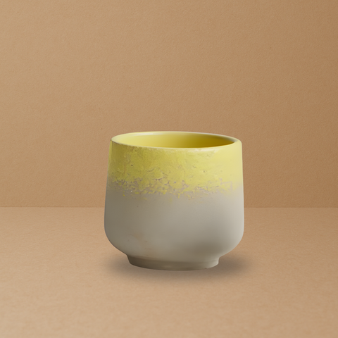 Kaloka C63 2Tone Tiger Bone S90ml Yellow Cup