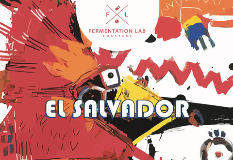 Fermentation Lab El Salvador - Filter (250g)