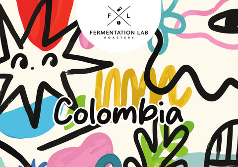 Fermentation Lab Colombia - 909 (250g)