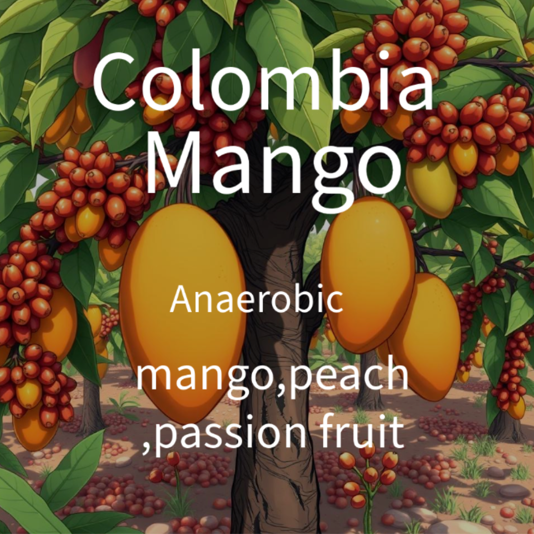 ALEZ Roastery-Colombia Mango (250g) Coffee Beans