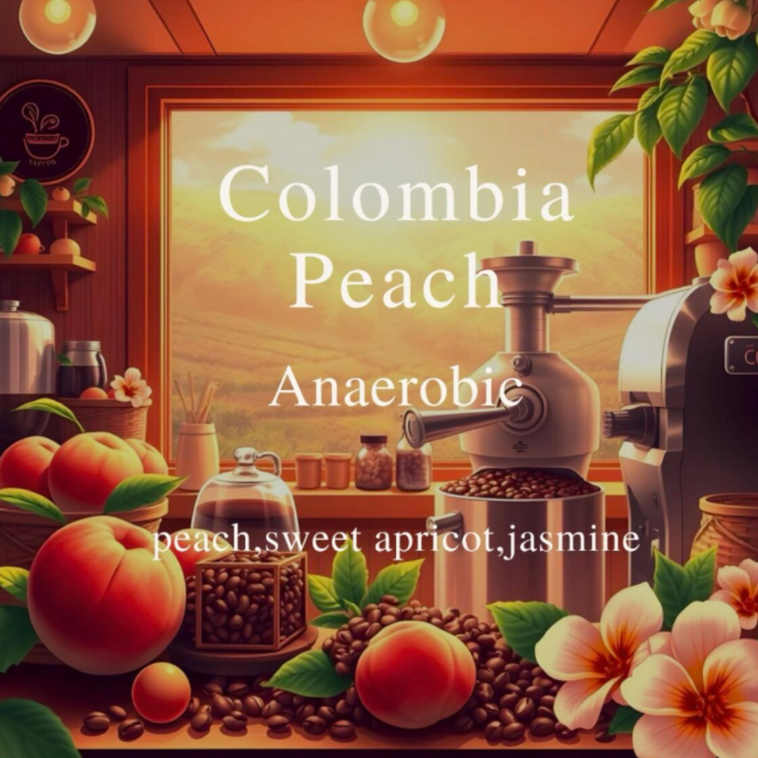 ALEZ Roastery Colombia Peach (250g) Coffee Beans