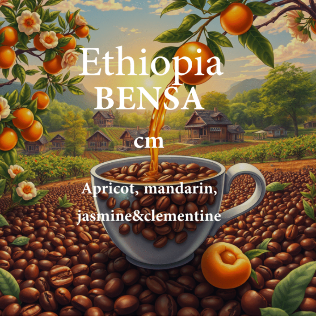 ALEZ Roastery Ethiopia Bensa (250g) Coffee Beans
