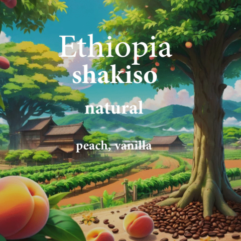 ALEZ Roastery Ethiopia Shakiso(250g) Coffee Beans