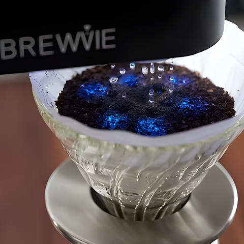 BREWVIE II Premium Brewing Machine
