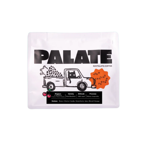 PALATE Red Bourbon (250g) Coffee Beans