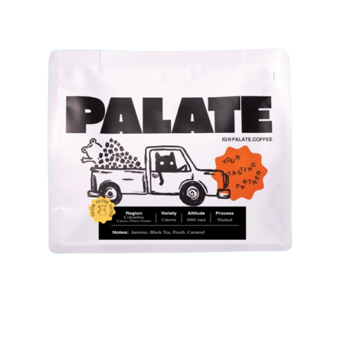 PALATE Colombia Caturra Washed – Limited Edition (250g) Coffee Beans