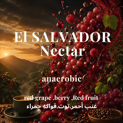 Alez Roastery El Salvador Nectar (250g) Coffee Beans