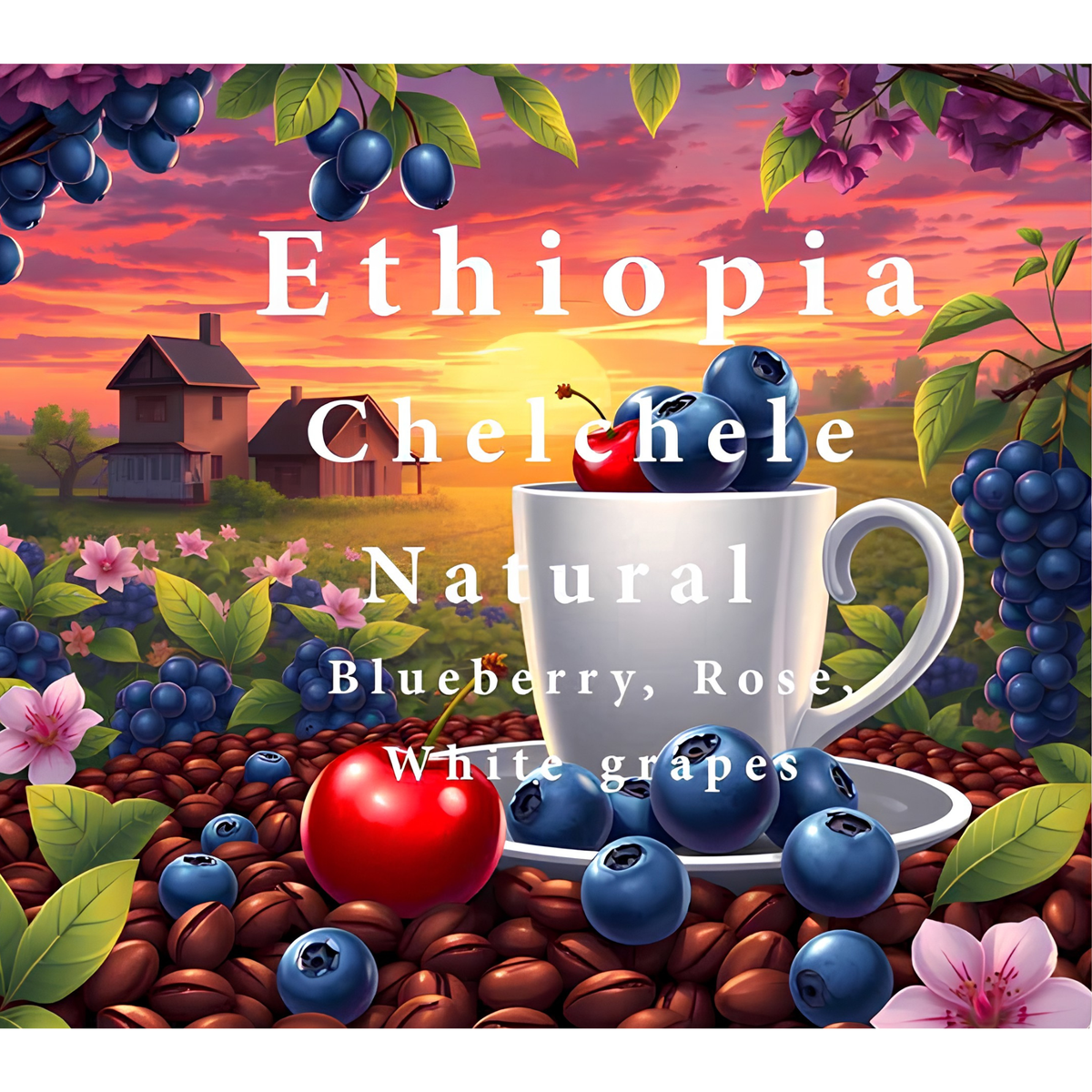ALEZ Roastery Ethiopia Chechele (250g) Coffee Beans