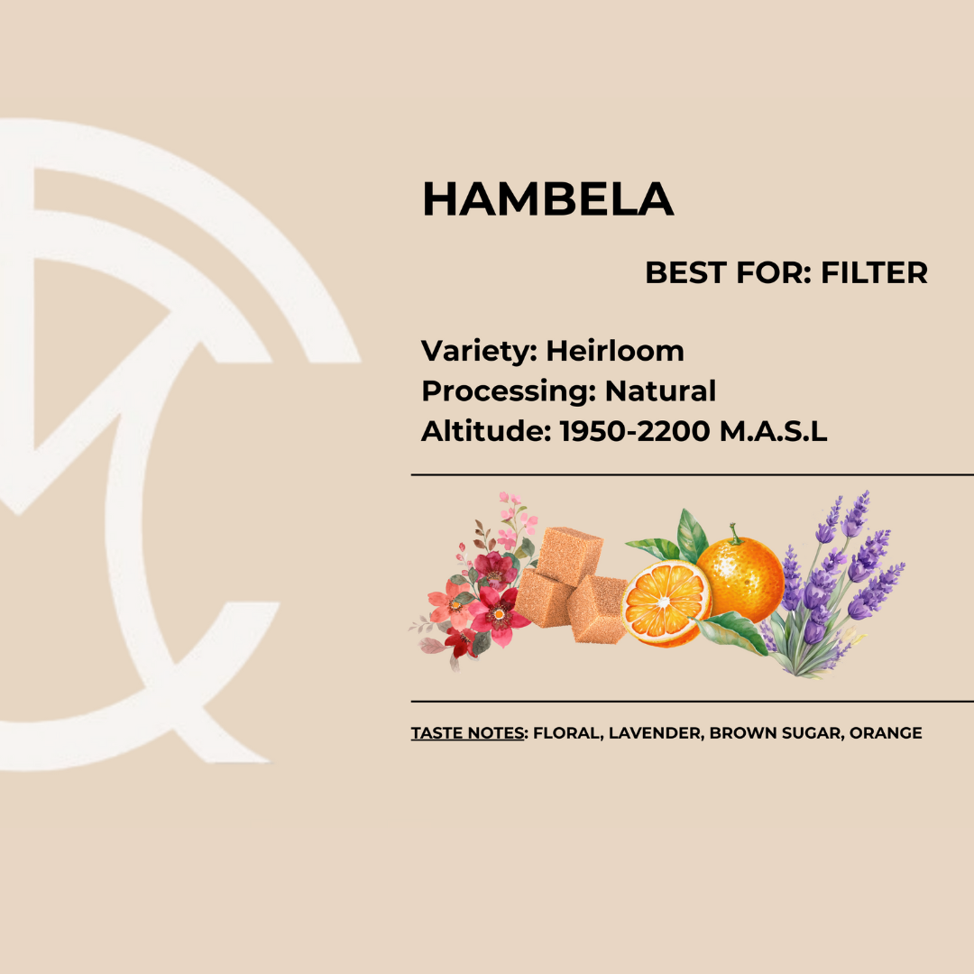 THE COFFEE MERCHANT Ethopia Hambela (200g) Coffee Beans