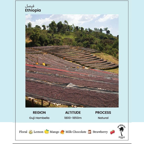 3guys ETHIOPIAN FAISAL (250g) Coffee Beans